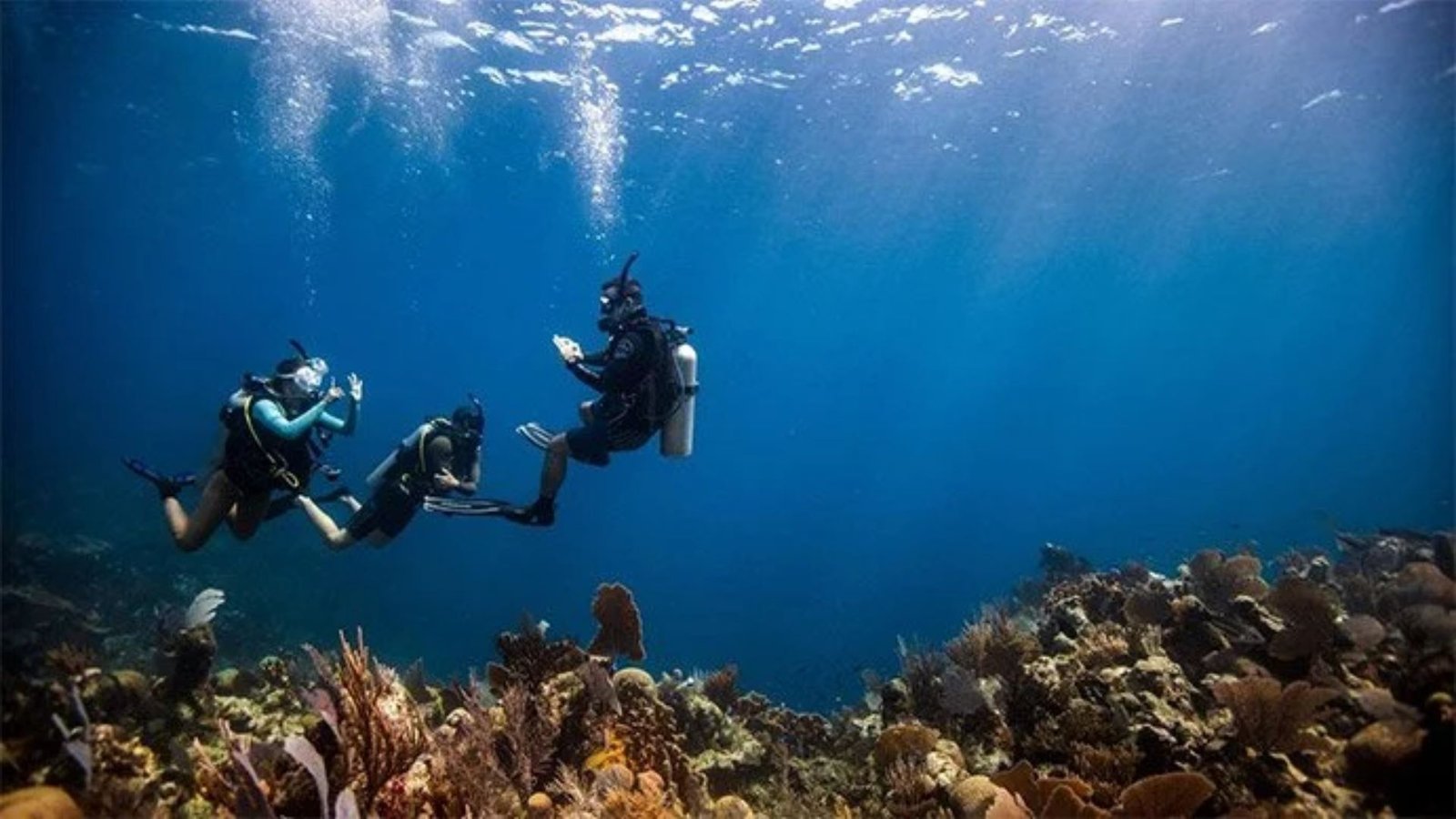 Scuba diving instructor guiding two students over a coral reef in clear shallow water