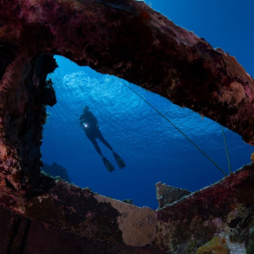 Pray-Dive-Home-Page-Fun-Diving-Day-Trip-at-King-Cruiser-Shark-Point-Koh-Doc-Mai-High-Resolution-1000x1000-2.jpg